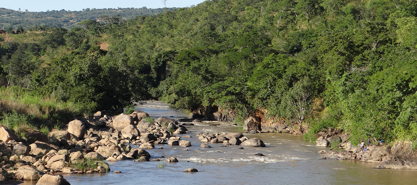 Catchment Guidelines